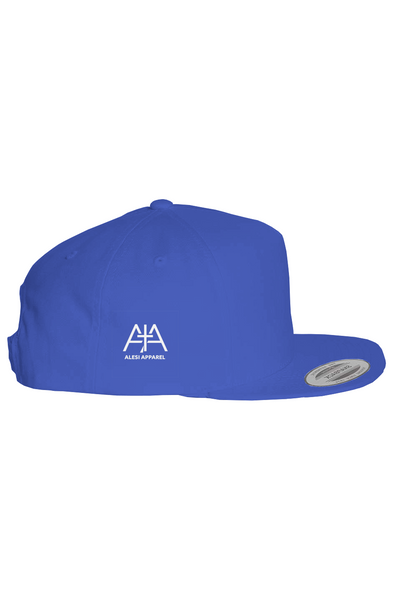 Alesi Apparel Completion Cross Snapback 