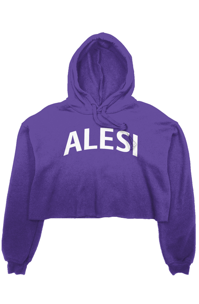 Alesi Apparel Spiritual Crop Top Hoodie